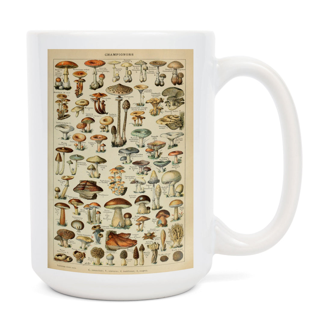 Mushrooms, C, Vintage Bookplate, Adolphe Millot Artwork, Ceramic Mug Mugs Lantern Press 