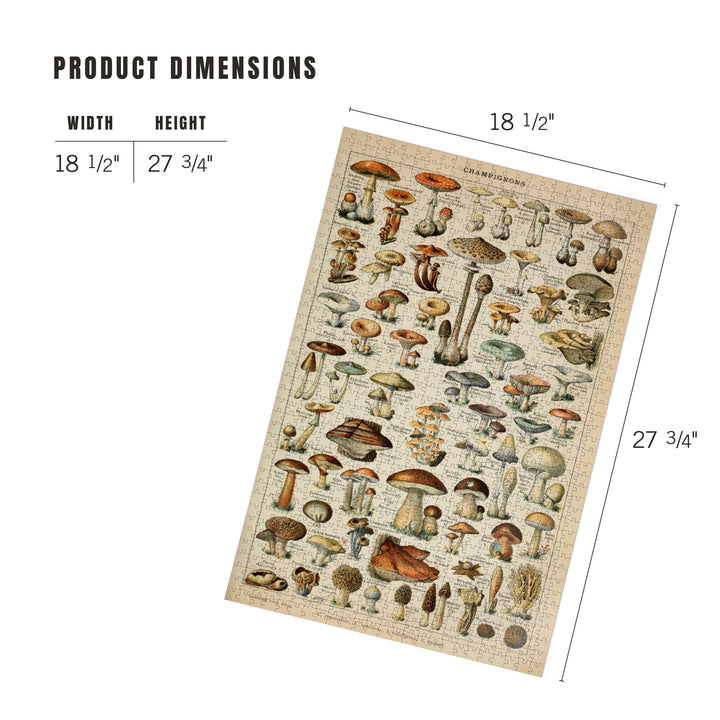 Mushrooms, C, Vintage Bookplate, Adolphe Millot Artwork, Jigsaw Puzzle Puzzle Lantern Press 