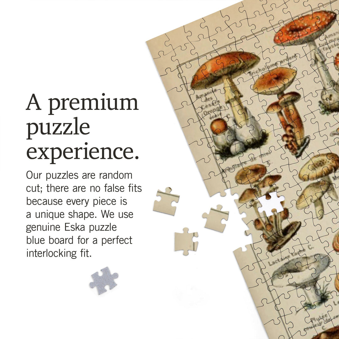 Mushrooms, C, Vintage Bookplate, Adolphe Millot Artwork, Jigsaw Puzzle Puzzle Lantern Press 