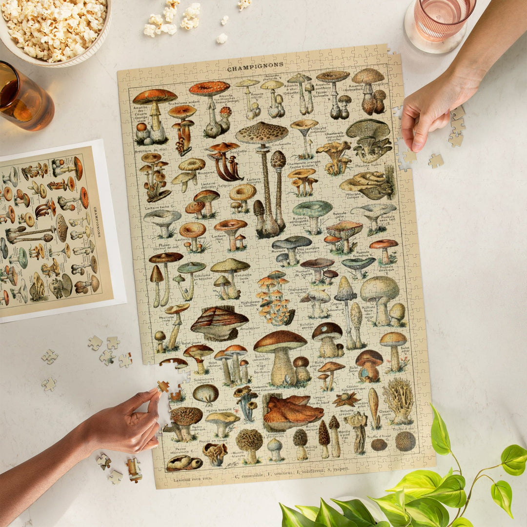 Mushrooms, C, Vintage Bookplate, Adolphe Millot Artwork, Jigsaw Puzzle Puzzle Lantern Press 
