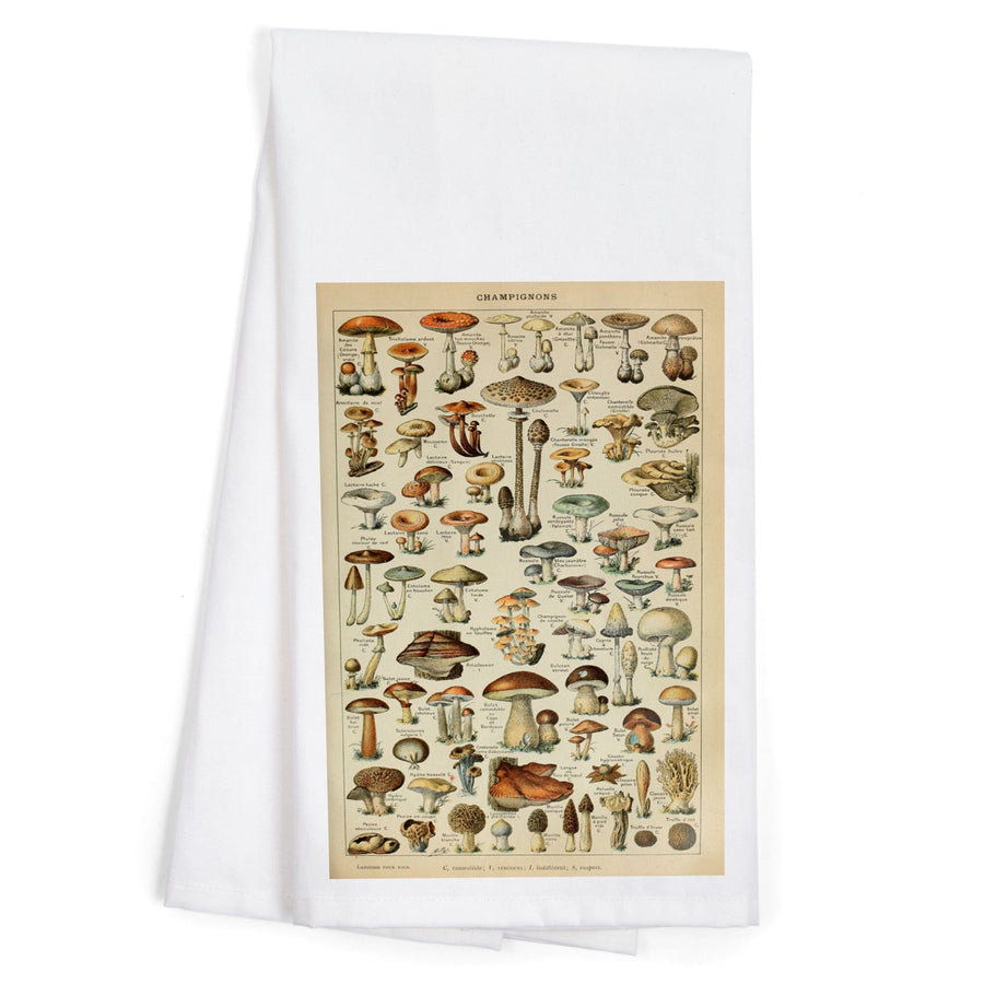 Mushrooms, C, Vintage Bookplate, Adolphe Millot Artwork, Organic Cotton Kitchen Tea Towels Kitchen Lantern Press 