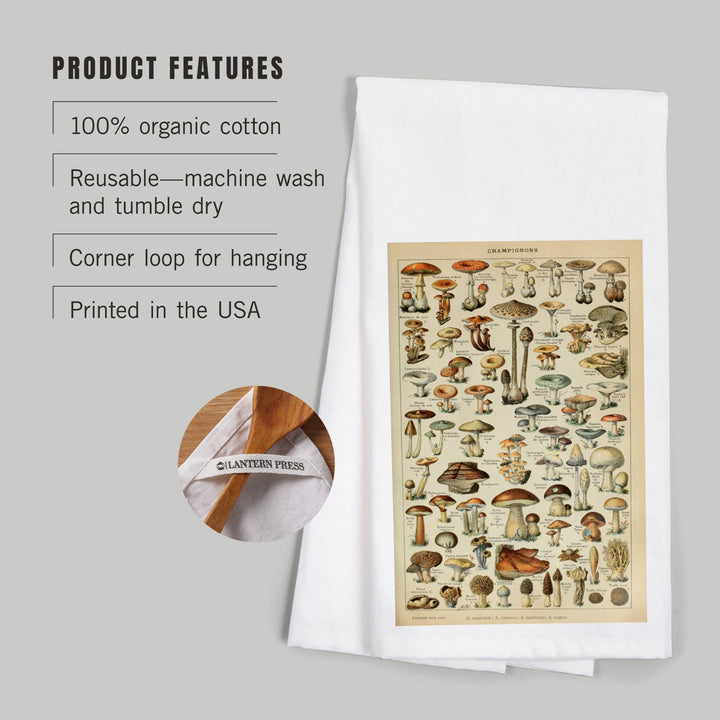 Mushrooms, C, Vintage Bookplate, Adolphe Millot Artwork, Organic Cotton Kitchen Tea Towels Kitchen Lantern Press 