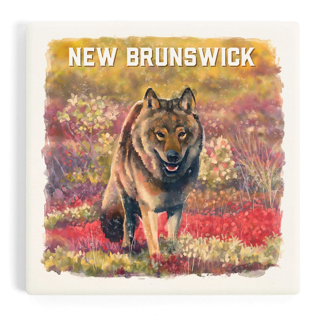 New Brunswick, Watercolor Study, Gray Wolf, Coasters Coasters Lantern Press Coaster 