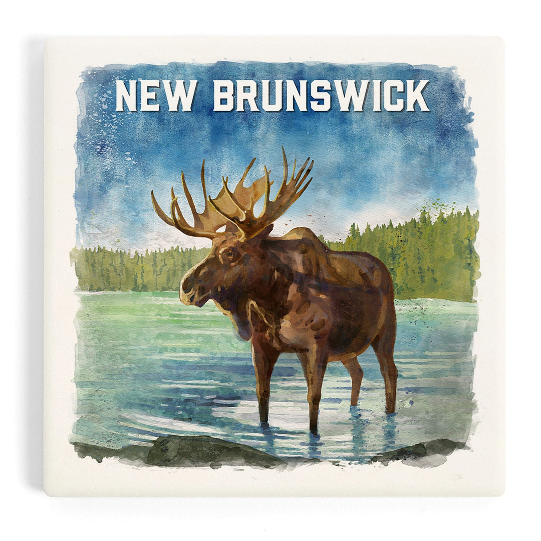 New Brunswick, Watercolor Study, Moose, Coasters Coasters Lantern Press 