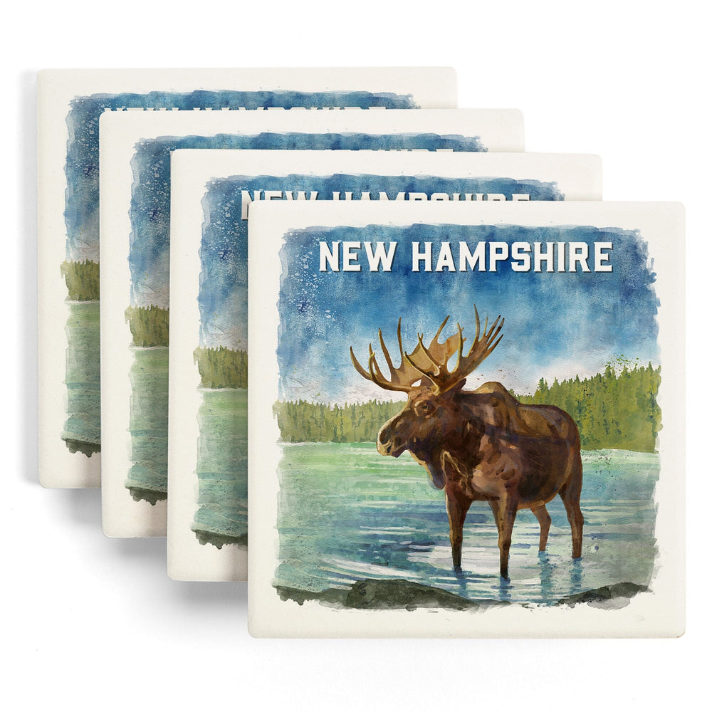 New Hampshire, Watercolor Study, Moose, Coasters Coasters Lantern Press 