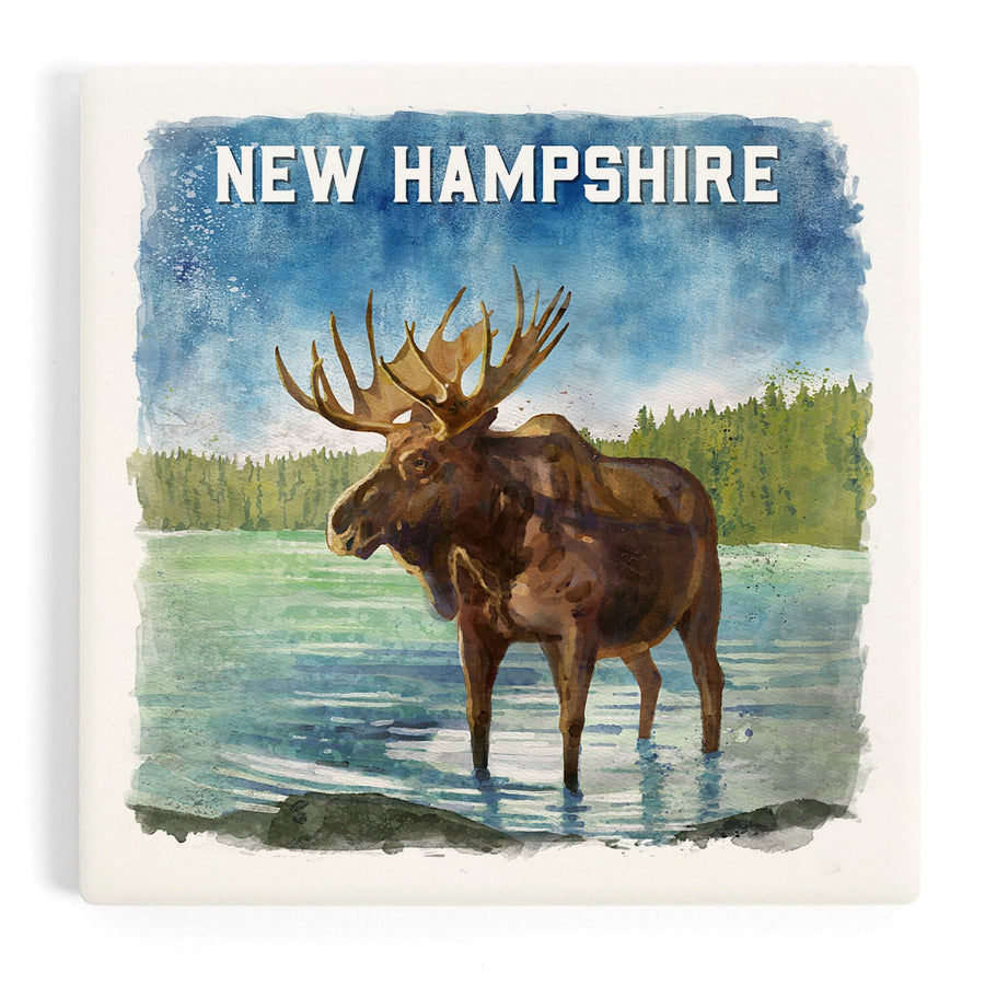 New Hampshire, Watercolor Study, Moose, Coasters Coasters Lantern Press 