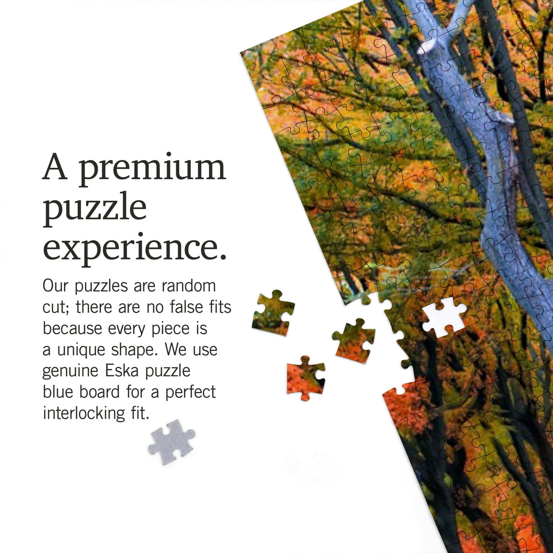New York City, New York, Central Park in Autumn, Jigsaw Puzzle Puzzle Lantern Press 