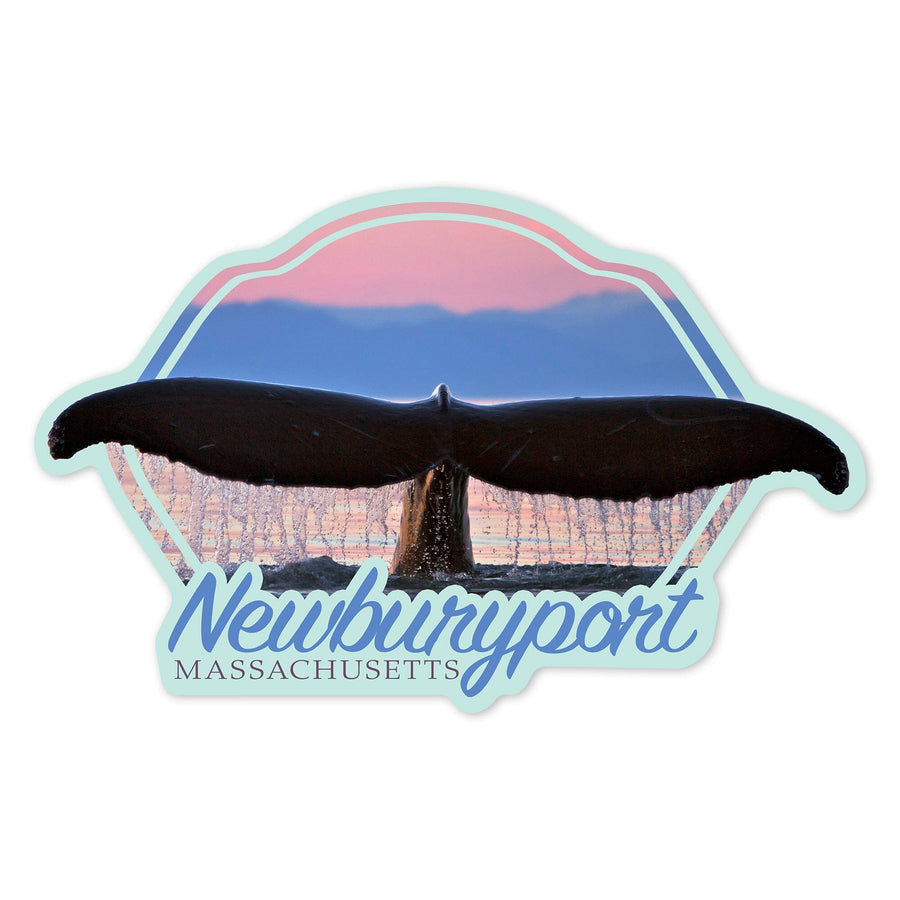 Newburyport, Massachusetts, Humpback Whale & Sunset, Contour, Lantern Press Photography, Vinyl Sticker Sticker Lantern Press 