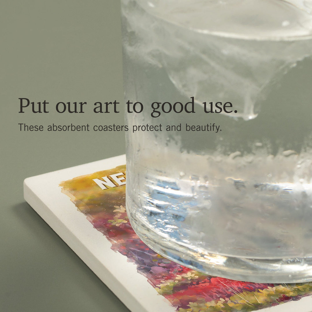 Newfoundland, Watercolor Study, Gray Wolf, Coasters Coasters Lantern Press 