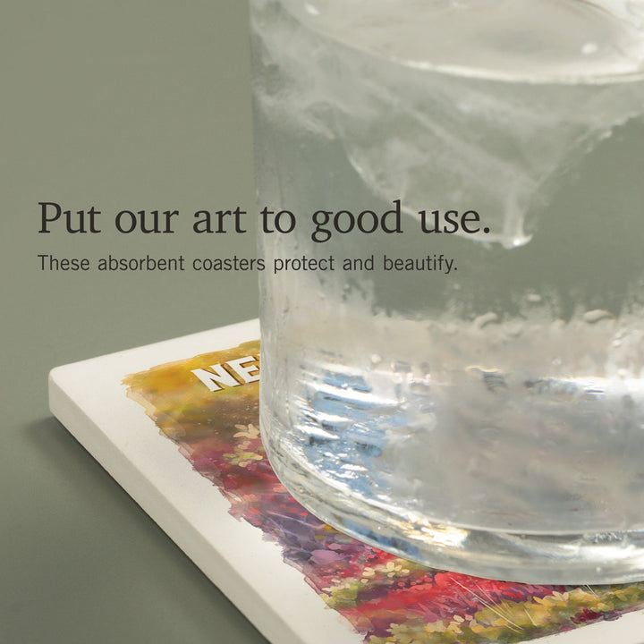 Newfoundland, Watercolor Study, Gray Wolf, Coasters Coasters Lantern Press 