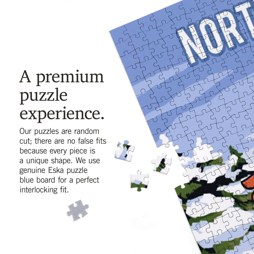 North Dakota, Signpost, Ski and Snow, Jigsaw Puzzle Puzzle Lantern Press 