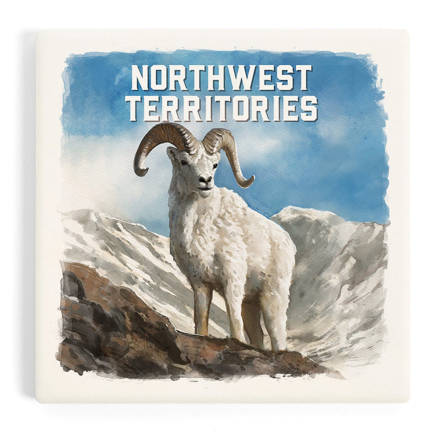 Northwest Territories, Watercolor Study, Dall Sheep, Coasters Coasters Lantern Press 