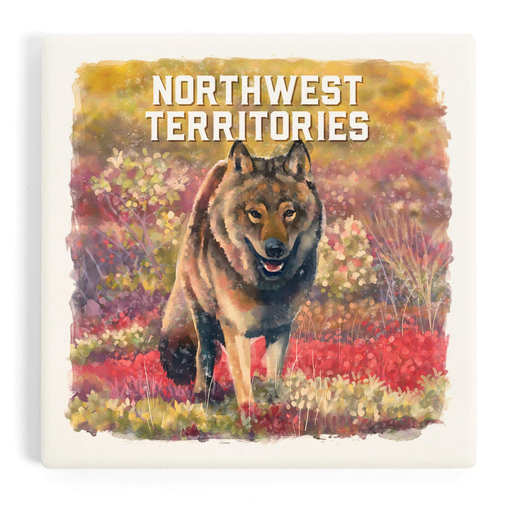 Northwest Territories, Watercolor Study, Gray Wolf, Coasters Coasters Lantern Press Coaster 