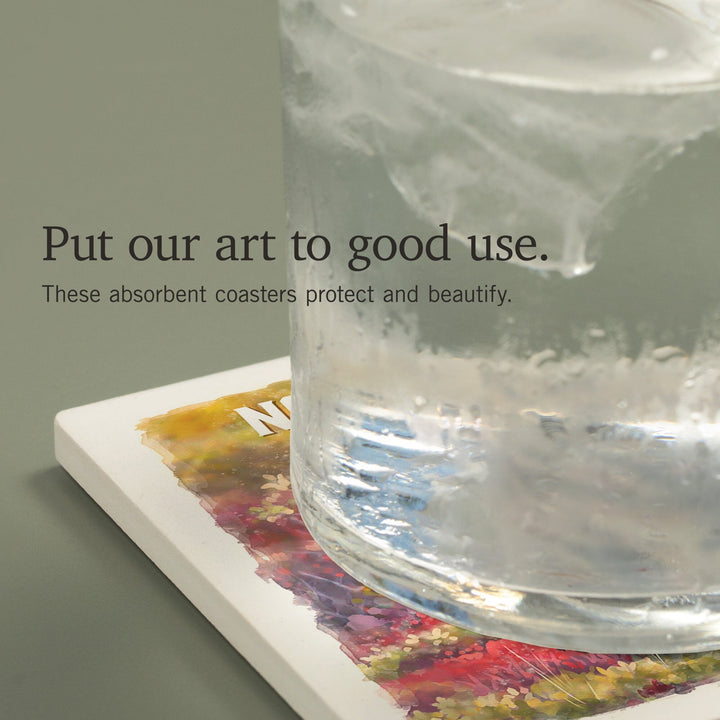 Nova Scotia, Watercolor Study, Gray Wolf, Coasters Coasters Lantern Press 