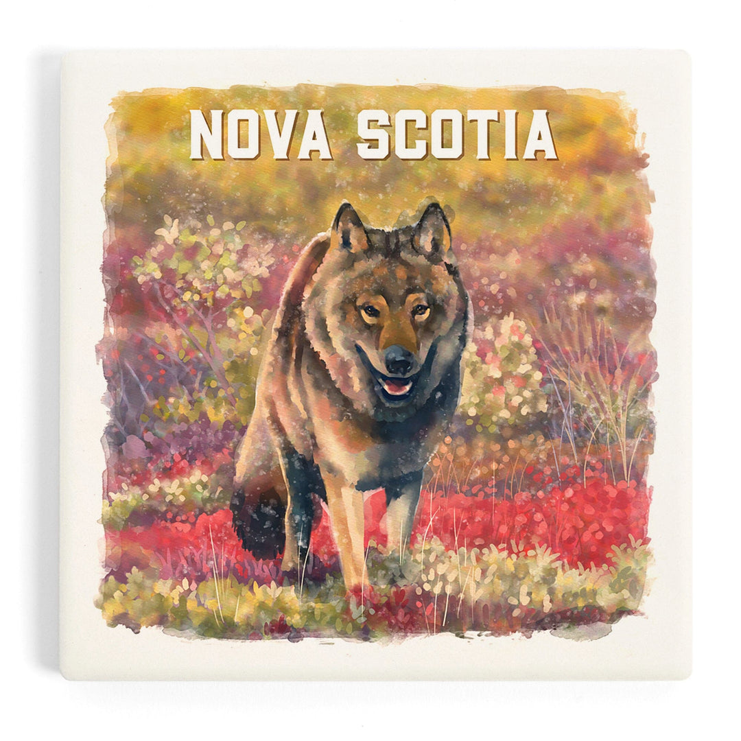 Nova Scotia, Watercolor Study, Gray Wolf, Coasters Coasters Lantern Press 