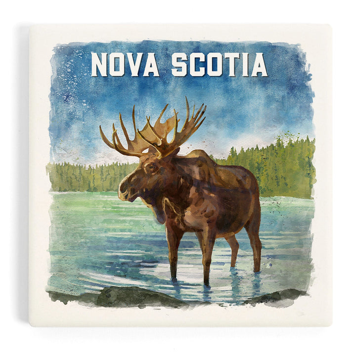 Nova Scotia, Watercolor Study, Moose, Coasters Coasters Lantern Press 