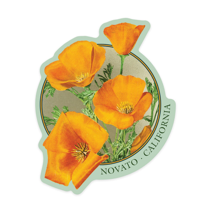 Novato, California, Poppies, Contour, Vinyl Sticker Sticker Lantern Press 