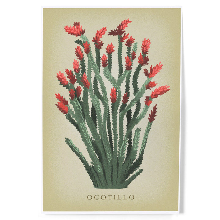 Ocotillo, Vintage Flora, Art & Giclee Prints Art Lantern Press 
