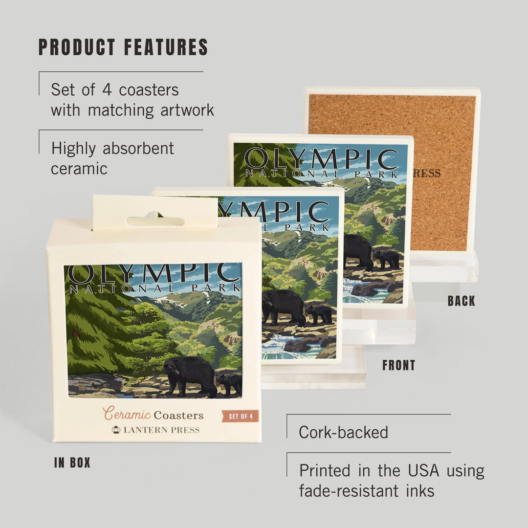 Olympic National Park, Washington, Bear Family and Creek, Coasters Coasters Lantern Press 