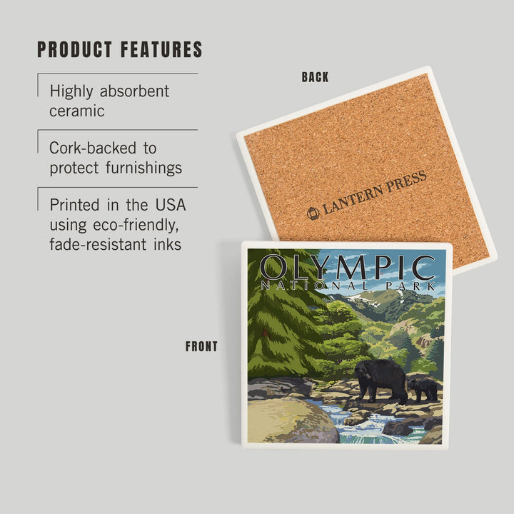 Olympic National Park, Washington, Bear Family and Creek, Coasters Coasters Lantern Press 