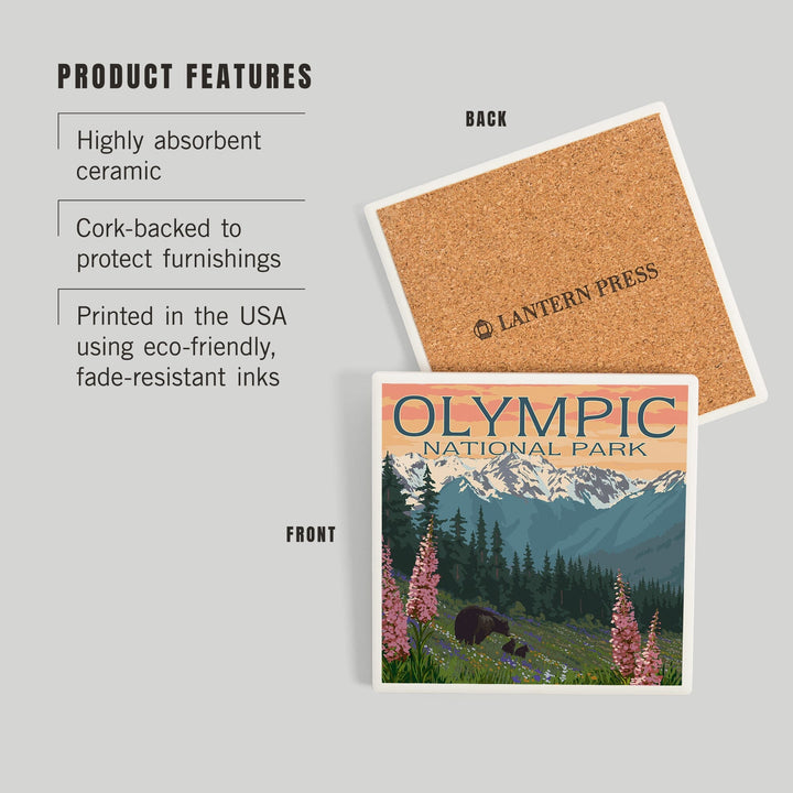 Olympic National Park, Washington, Bears and Spring Flowers, Coasters Coasters Lantern Press 