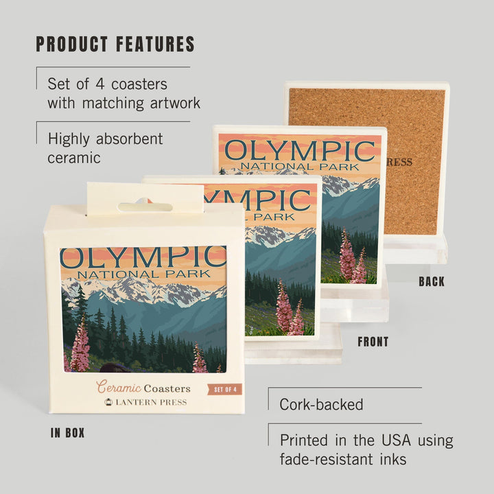 Olympic National Park, Washington, Bears & Spring Flowers, Lantern Press Artwork, Coaster Set Coasters Lantern Press 