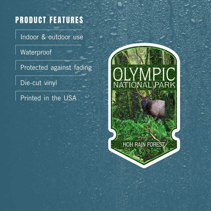 Olympic National Park, Washington, Hoh Rain Forest, Contour, Lantern Press Artwork, Vinyl Sticker Sticker Lantern Press 