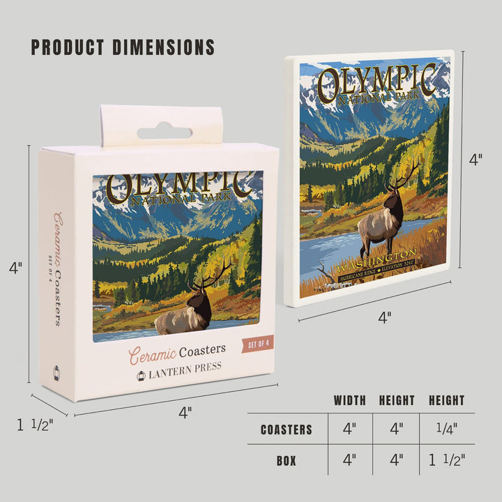 Olympic National Park, Washington, Hurricane Ridge and Elk, Coasters Coasters Lantern Press 