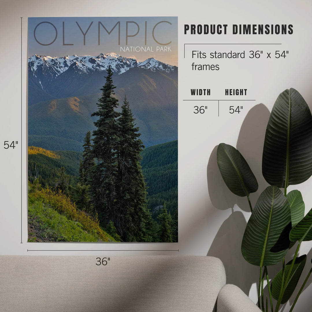 Olympic National Park, Washington, Hurricane Ridge, Art & Giclee Prints Art Lantern Press 