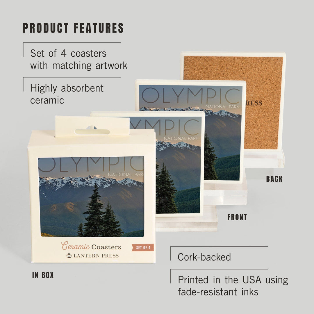 Olympic National Park, Washington, Hurricane Ridge, Lantern Press Photography, Coaster Set Coasters Lantern Press 