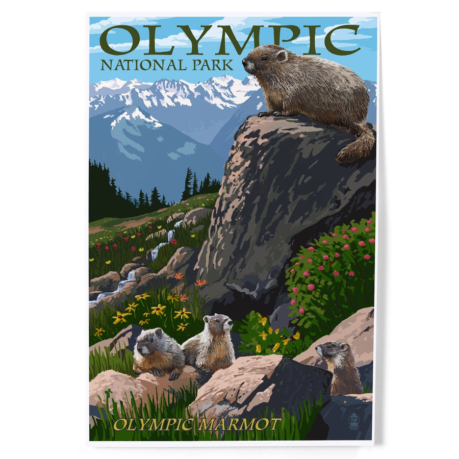 Olympic National Park, Washington, Marmots, Art & Giclee Prints Art Lantern Press 