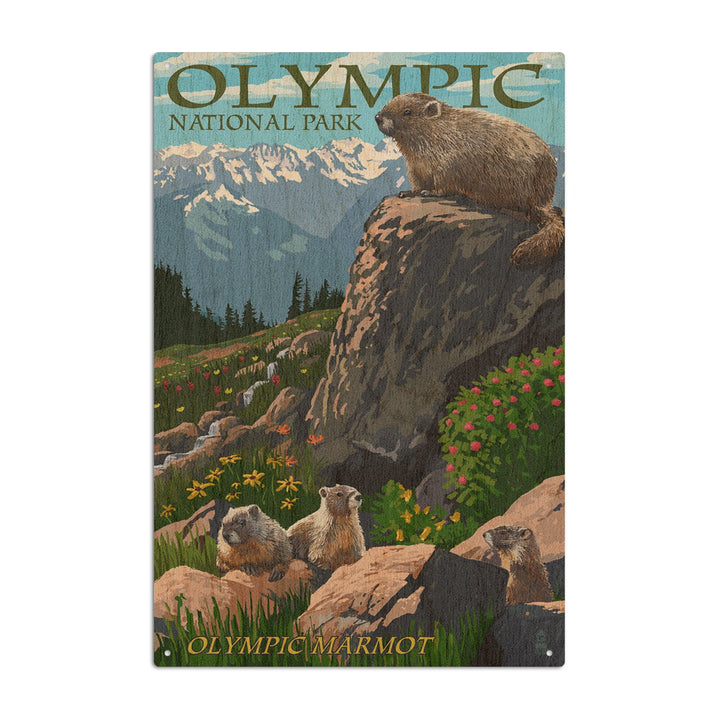 Olympic National Park, Washington, Marmots, Lantern Press Artwork, Wood Signs and Postcards Wood Lantern Press 10 x 15 Wood Sign 