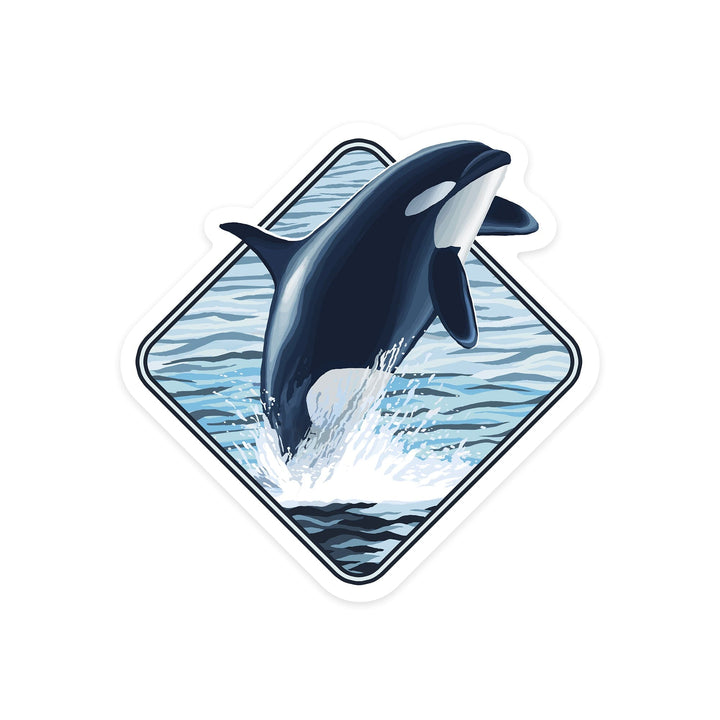 Orca Whale Jumping, Contour, Lantern Press Artwork, Vinyl Sticker Sticker Lantern Press 