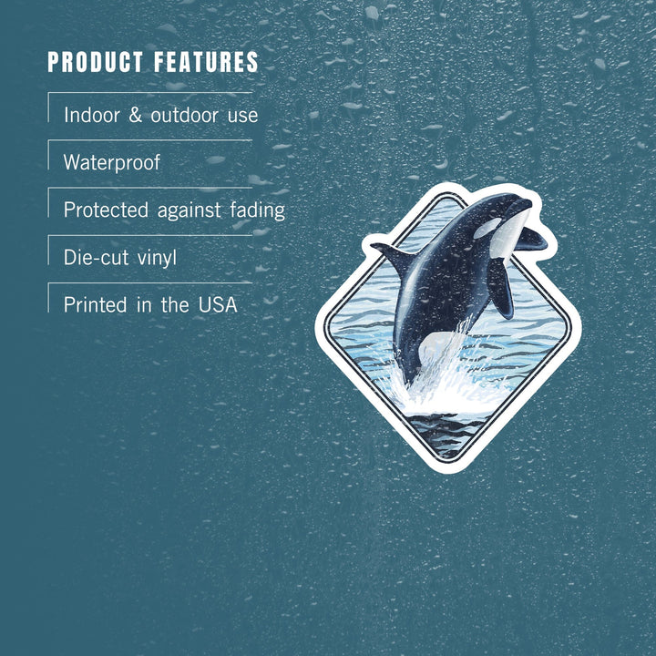 Orca Whale Jumping, Contour, Lantern Press Artwork, Vinyl Sticker Sticker Lantern Press 