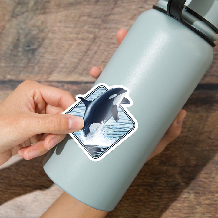 Orca Whale Jumping, Contour, Lantern Press Artwork, Vinyl Sticker Sticker Lantern Press 