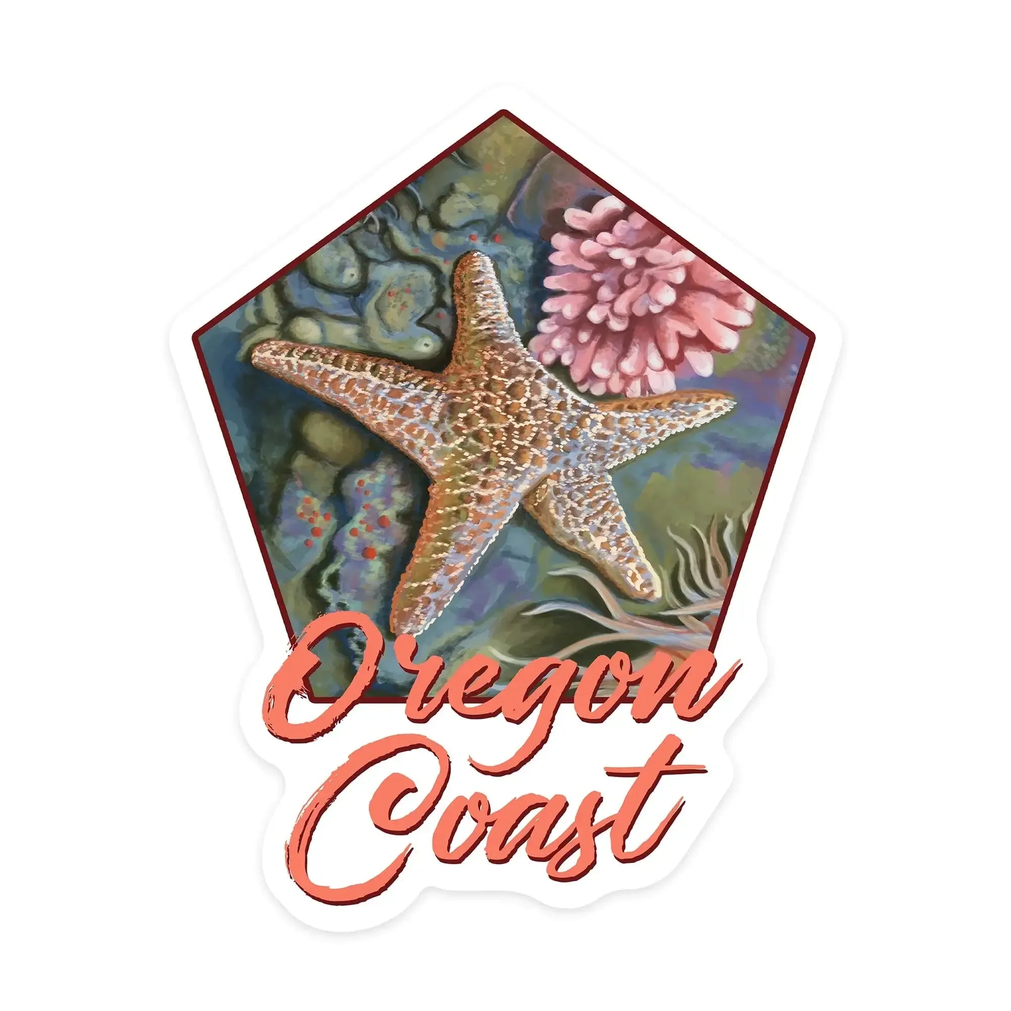 Oregon Coast, Tidepool, Contour, outdoor vinyl stickers – Lantern Press
