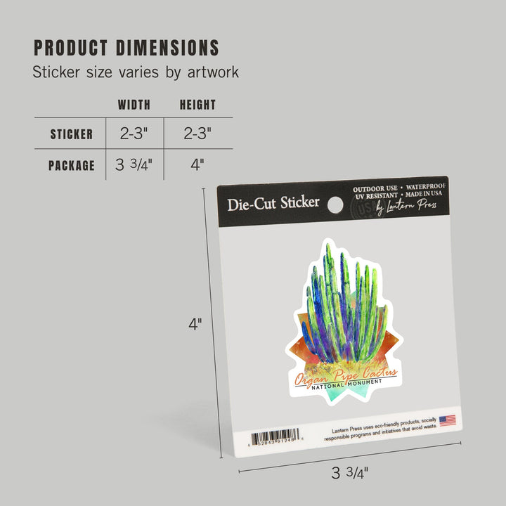 Organ Pipe Cactus National Monument, Arizona, Cactus, Watercolor, Contour, Lantern Press Artwork, Vinyl Sticker Sticker Lantern Press 