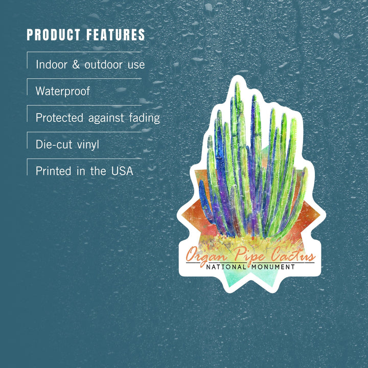 Organ Pipe Cactus National Monument, Arizona, Cactus, Watercolor, Contour, Lantern Press Artwork, Vinyl Sticker Sticker Lantern Press 