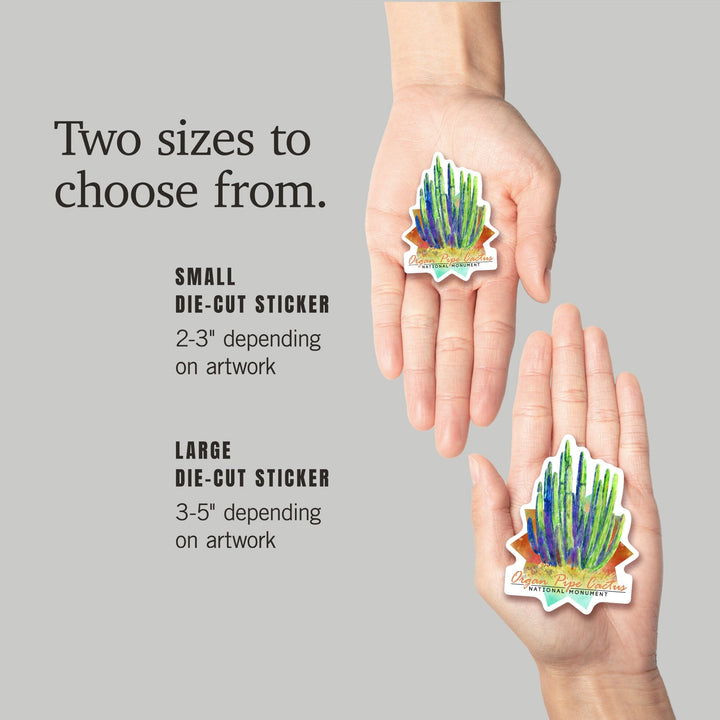 Organ Pipe Cactus National Monument, Arizona, Cactus, Watercolor, Contour, Lantern Press Artwork, Vinyl Sticker Sticker Lantern Press 
