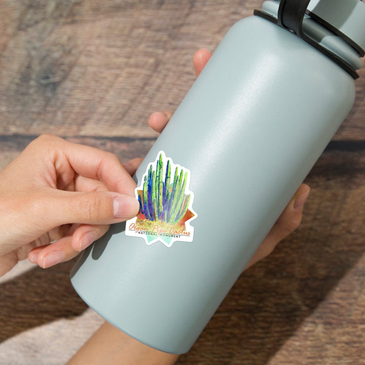 Organ Pipe Cactus National Monument, Arizona, Cactus, Watercolor, Contour, Lantern Press Artwork, Vinyl Sticker Sticker Lantern Press 