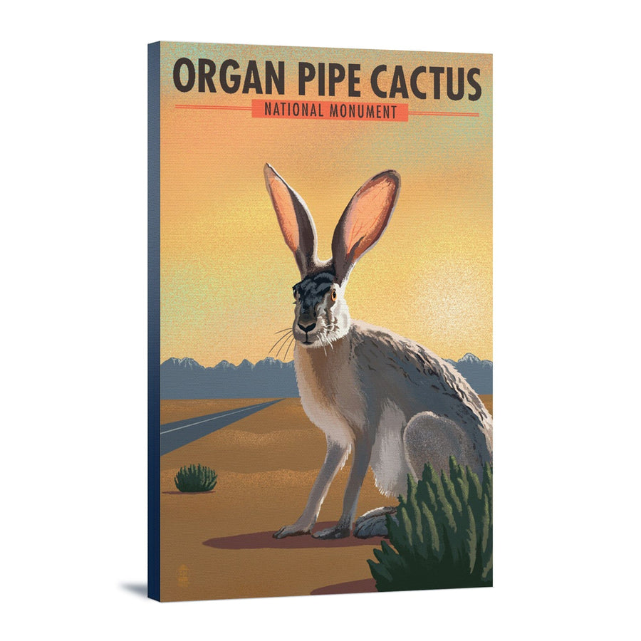 Organ Pipe Cactus National Monument, Arizona, Jackrabbit, Lithograph, Stretched Canvas Canvas Lantern Press 