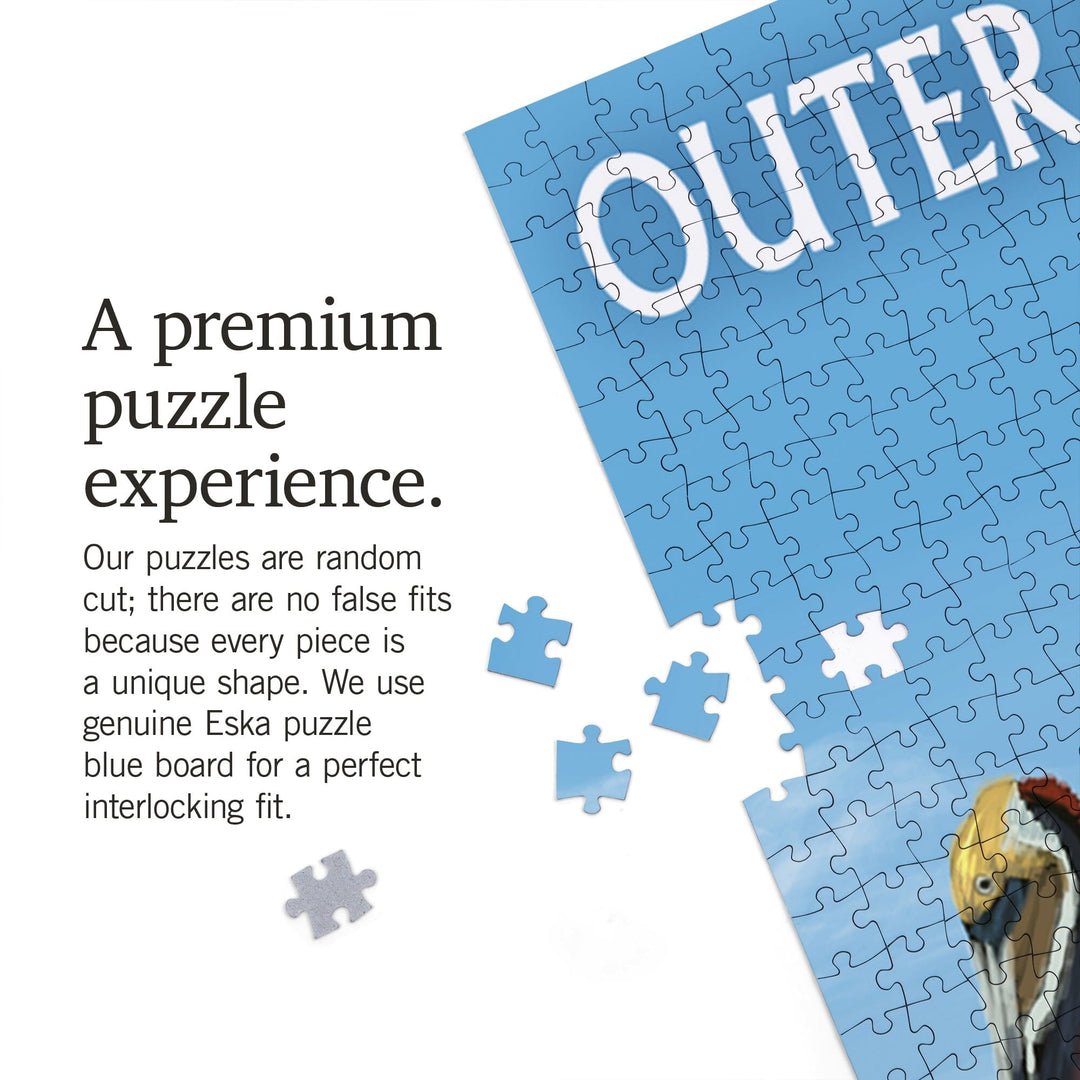 Outer Banks, North Carolina, Pelicans, Jigsaw Puzzle Puzzle Lantern Press 