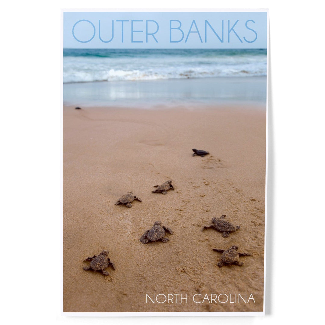 Outer Banks, North Carolina, Sea Turtles Hatching, Art & Giclee Prints Art Lantern Press 