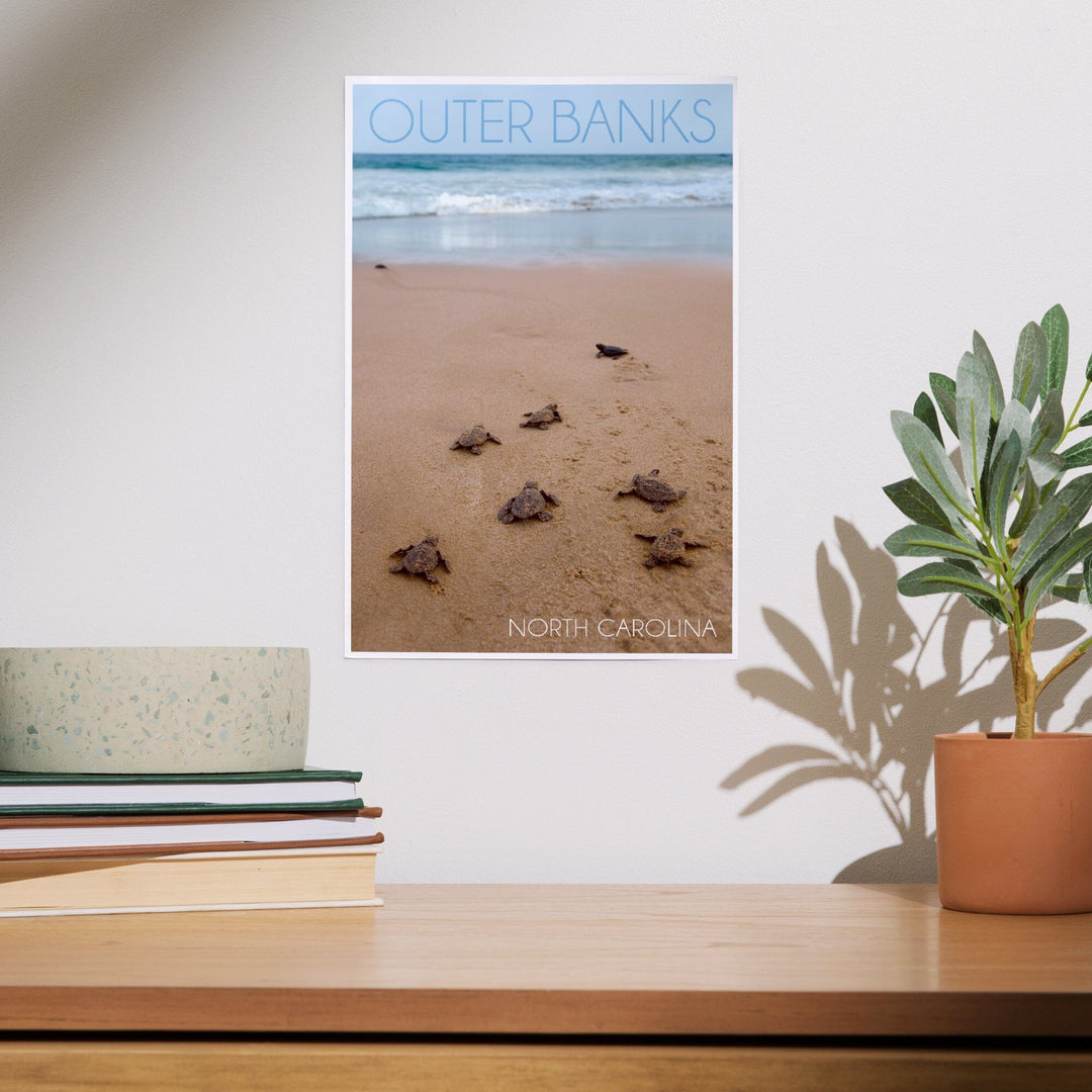 Outer Banks, North Carolina, Sea Turtles Hatching, Art & Giclee Prints Art Lantern Press 