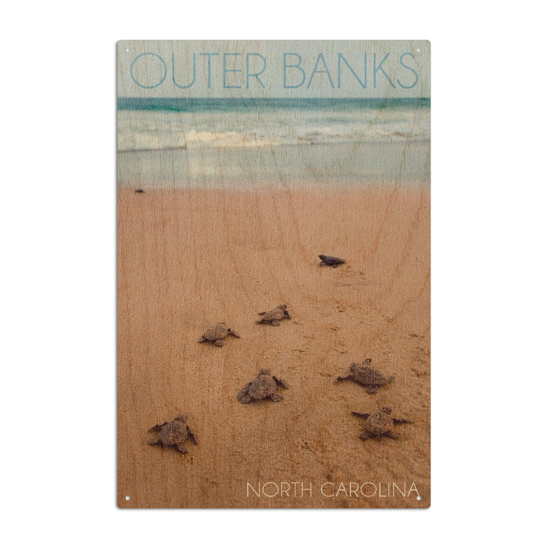 Outer Banks, North Carolina, Sea Turtles Hatching, Lantern Press Photography, Wood Signs and Postcards Wood Lantern Press 10 x 15 Wood Sign 