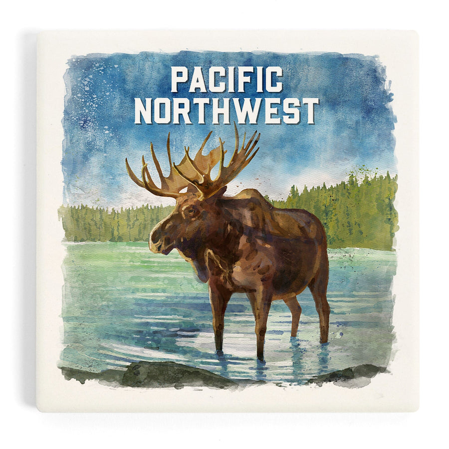 Pacific Northwest, Watercolor Study, Moose, Coasters Coasters Lantern Press 