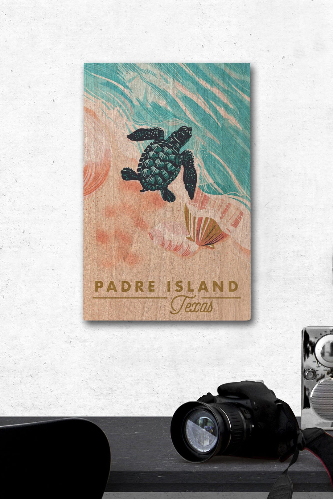 Padre Island, Texas, Courageous Explorer Collection, Turtle and Shells, Safely to Sea, Wood Signs and Postcards Wood Lantern Press 12 x 18 Wood Gallery Print 