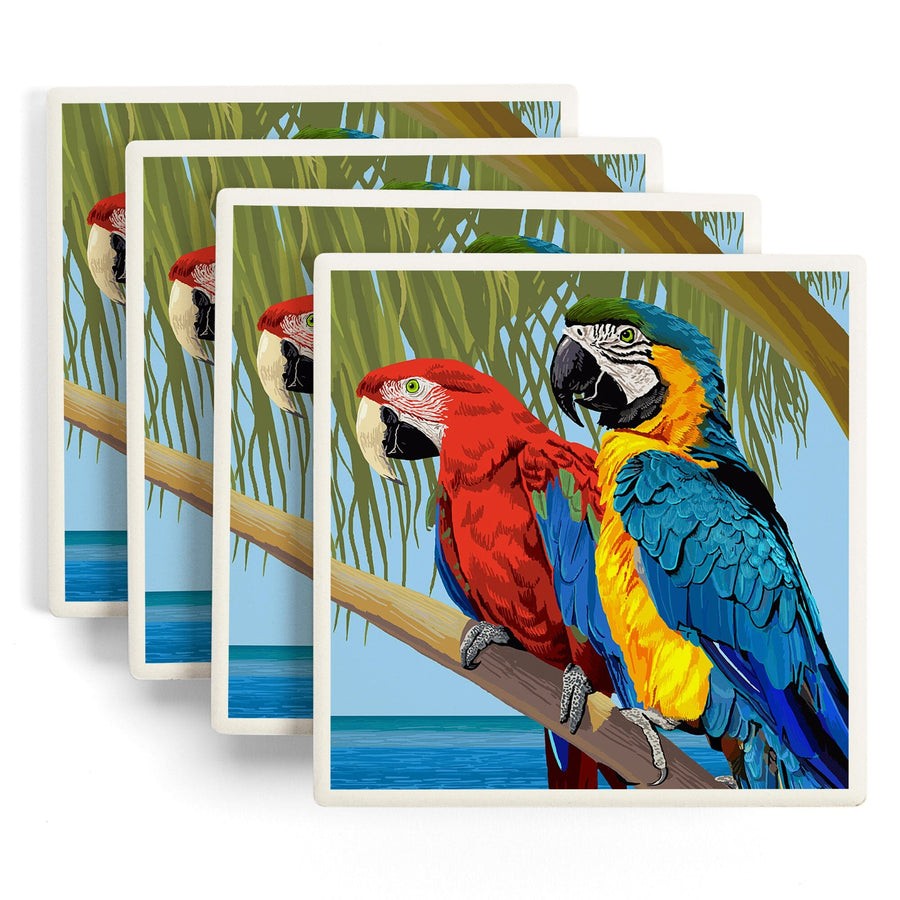 Parrots, Lantern Press Artwork, Coaster Set Coasters Lantern Press 