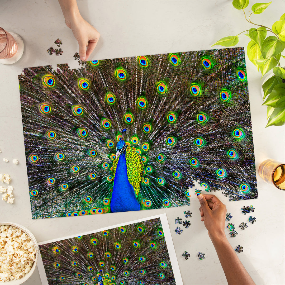 Peacock, Jigsaw Puzzle Puzzle Lantern Press 