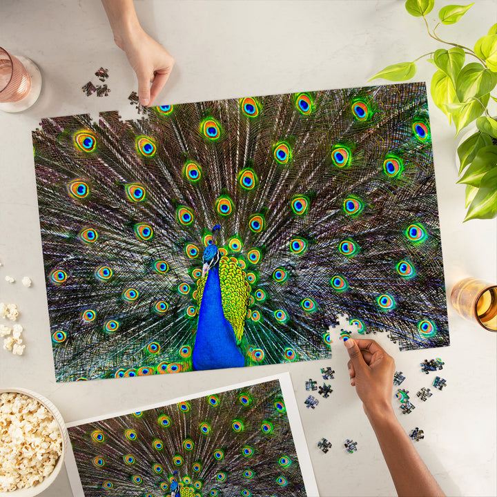 Peacock, Jigsaw Puzzle Puzzle Lantern Press 